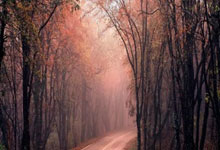 凯恩：最后时刻丢球+伊藤离场令我有些紧张 但赢球后的感觉很好.