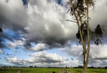 球友会：自由式滑雪空中技巧世界杯首站：孙佳旭、徐梦桃夺冠2025-01-19.