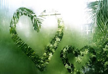 哈尔滨亚冬会即将拉开帷幕 开幕式亮点剧透2025-02-06.