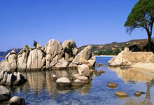 提携新人加速国血液更新 伊万：一切没那么糟.